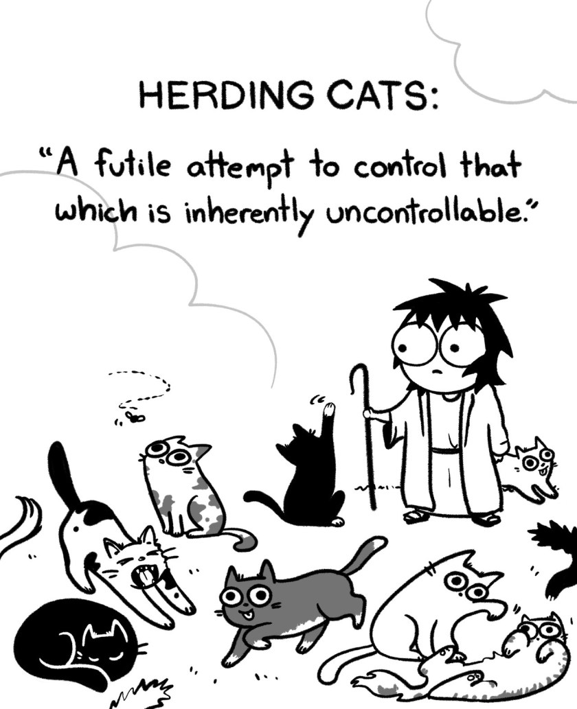 Cat Herding