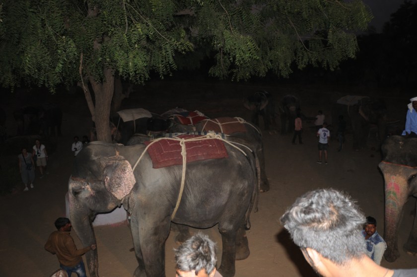 India D3 111218 743_1005