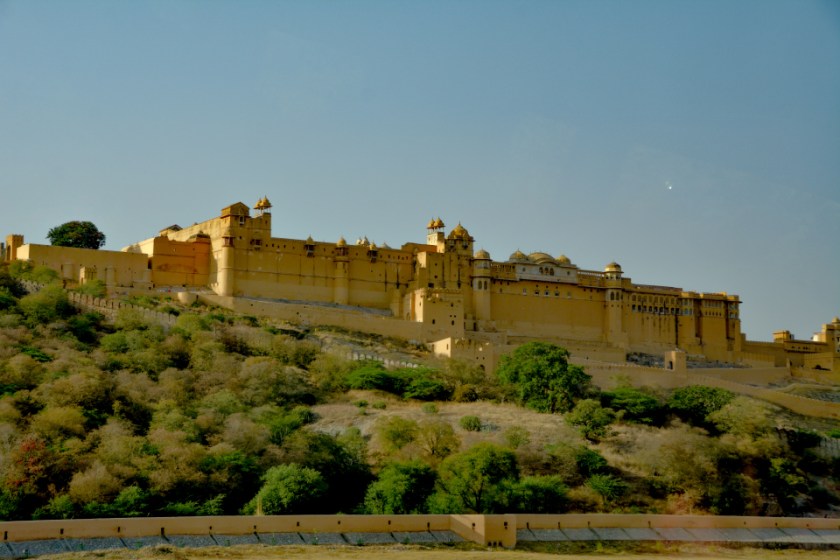 India D7100 -1126_1012