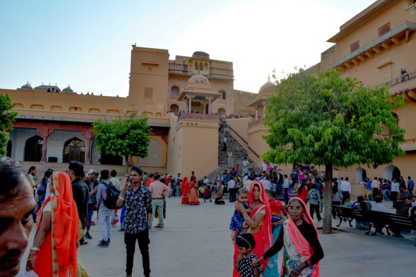 India D7100 -1157_1019