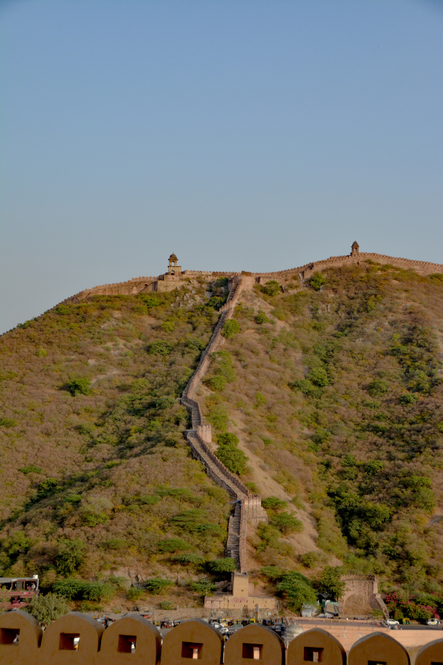 India D7100 -1161_1021