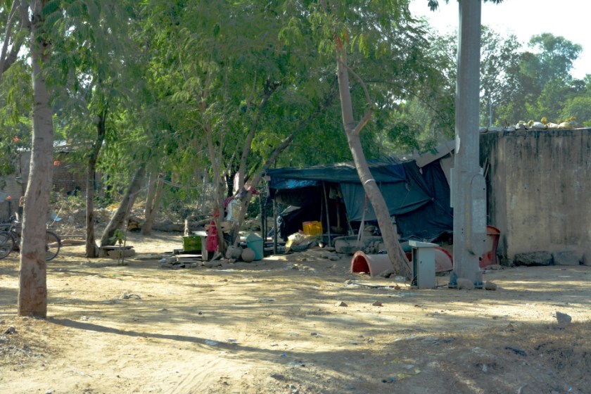 India D7100 -1271_1000