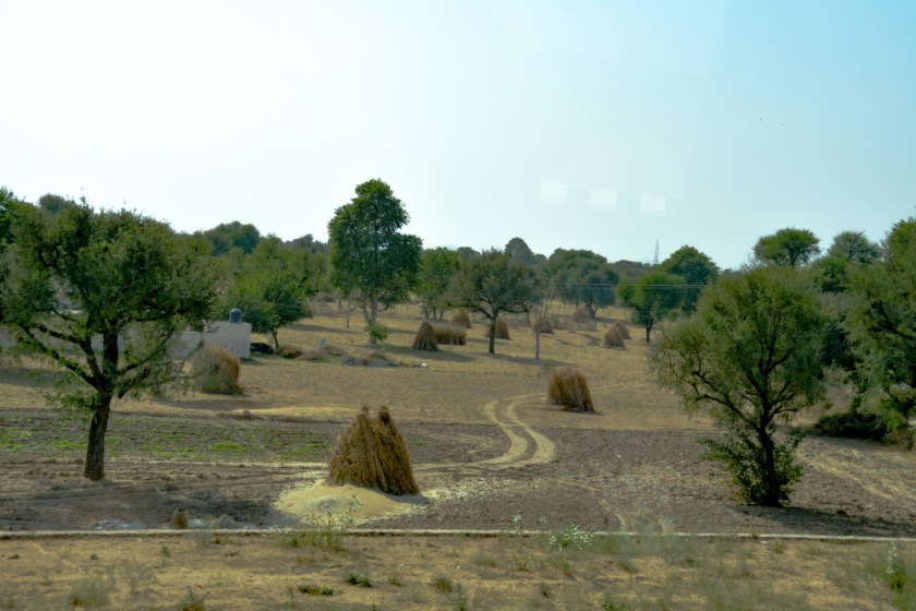 India D7100-1309_1167