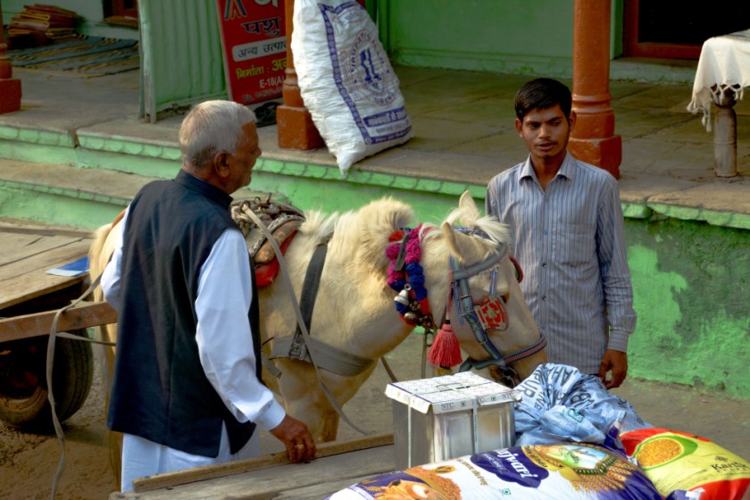 India D7100-1348_1176