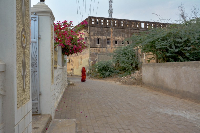 India D7100-1359_1252