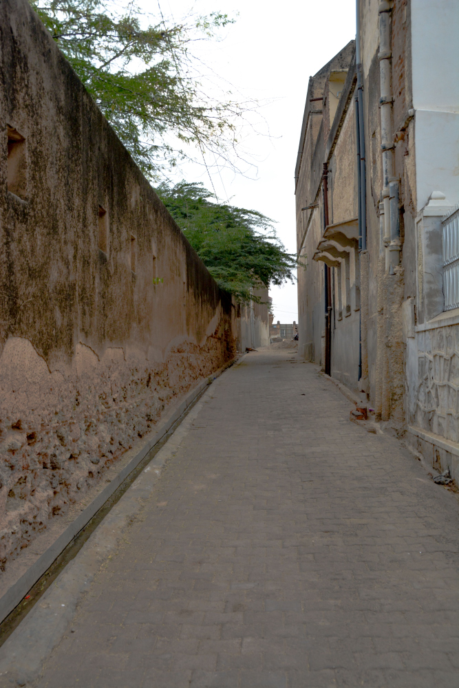 India D7100-1360_1253