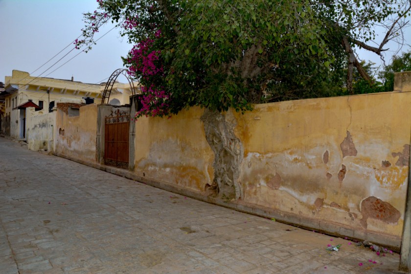 India D7100-1418_1267