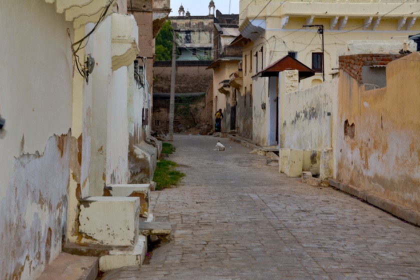 India D7100-1419_1268