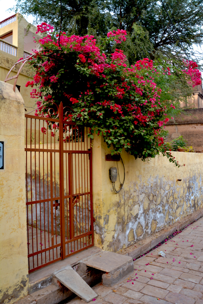 India D7100-1422_1270