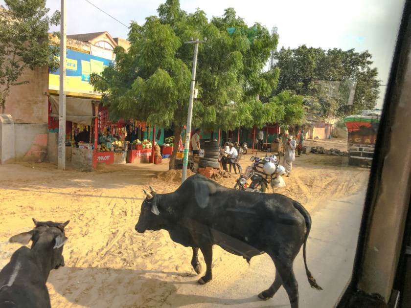 India IPhone-262_1182