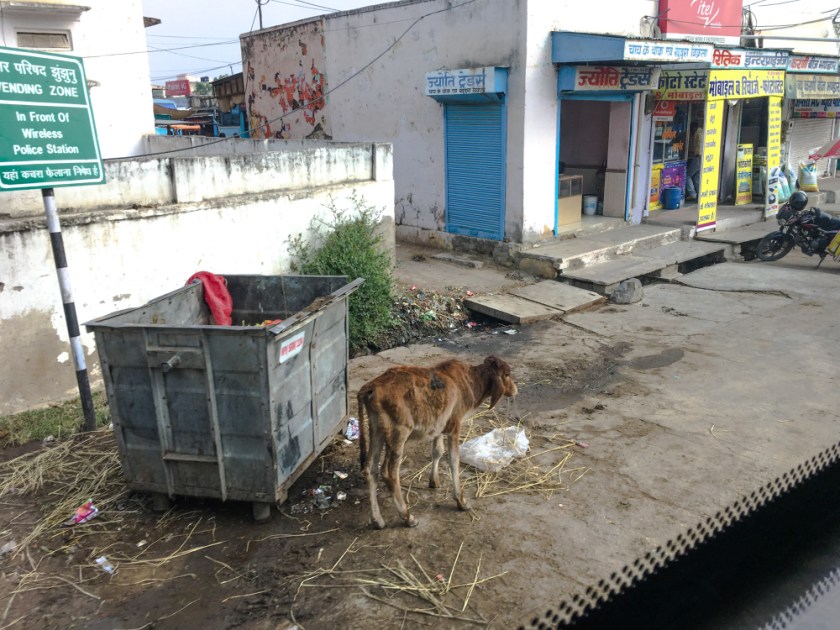 India IPhone-277_1186