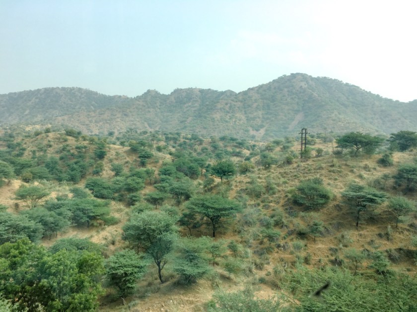 India IPhone-309_1198