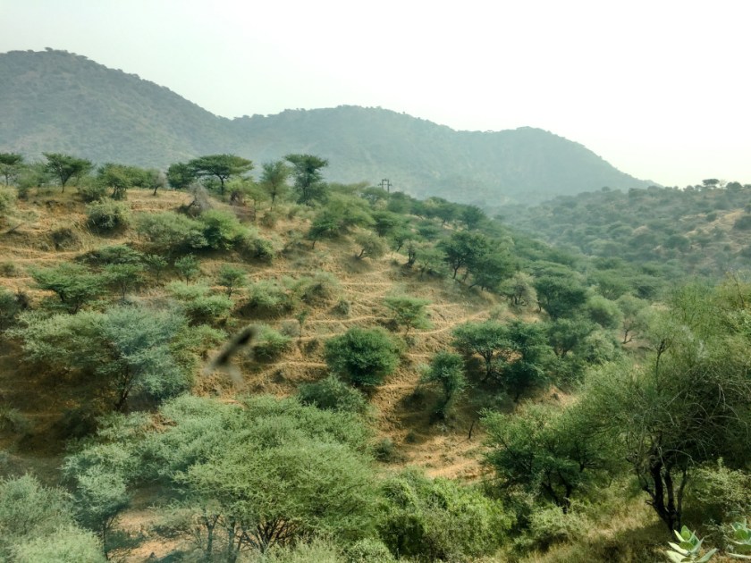 India IPhone-313_1199