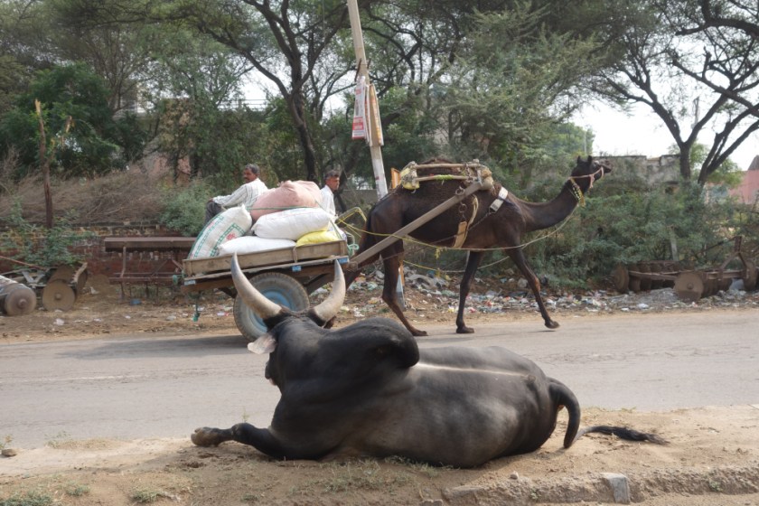 India S 111418 1330_1206