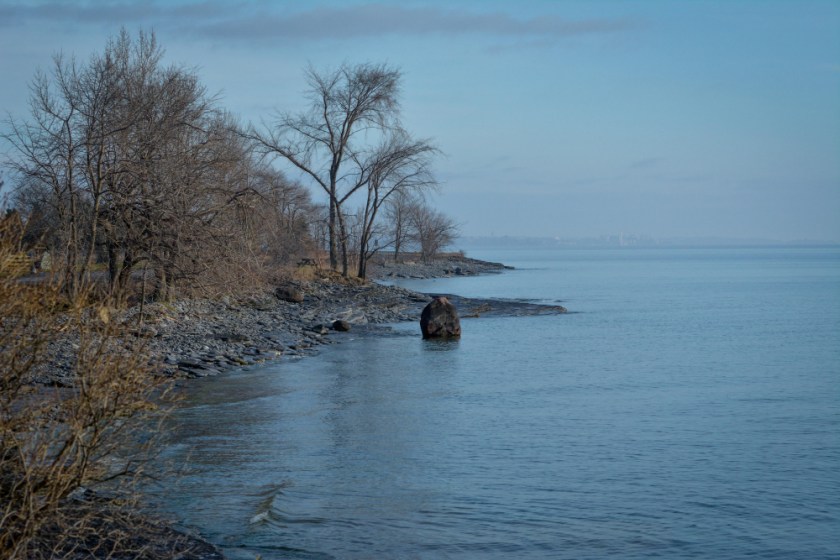 Amherst Dec 2018 Exported-39_1310