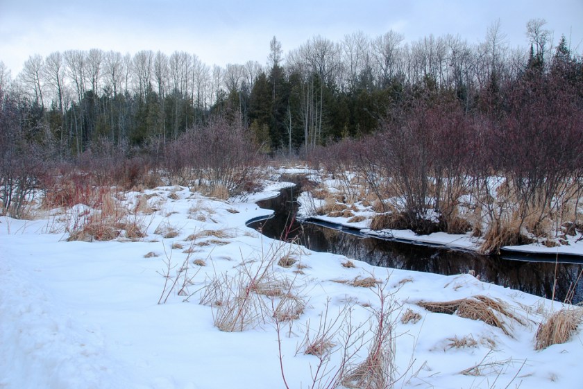 bancroft jan 2019 day trip exported lr-1_1324