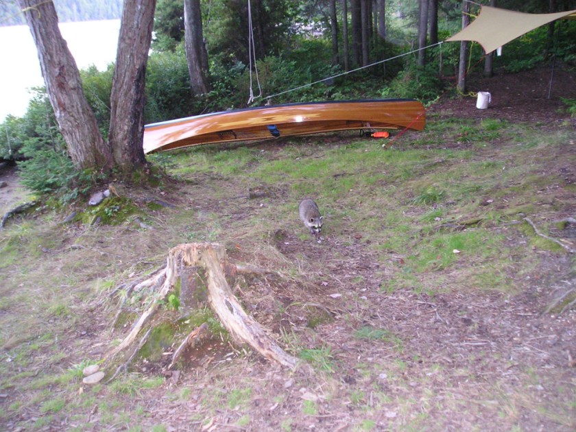 Algonquin Aug 2005044_1530