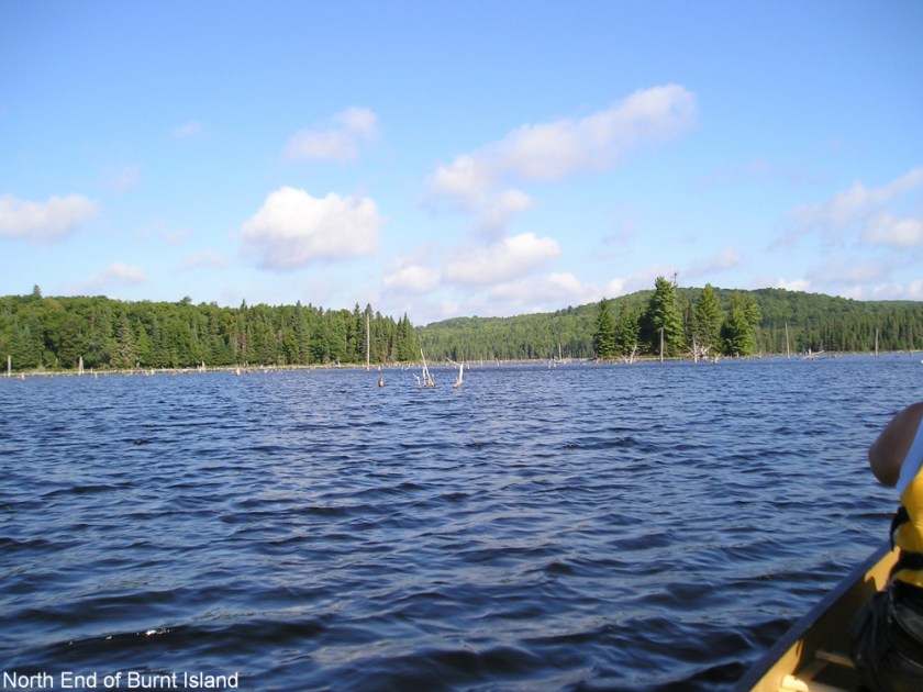 Algonquin Aug 2005032_1629