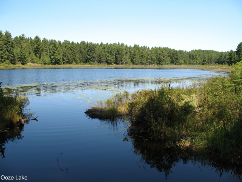 Algonquin Aug 2006279A