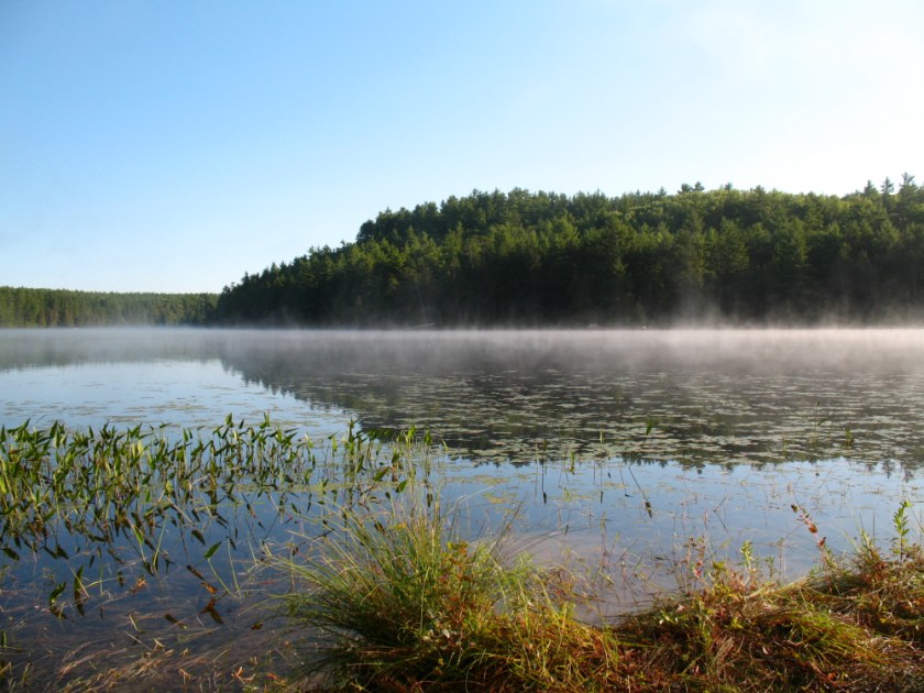 Algonquin Aug 2006316