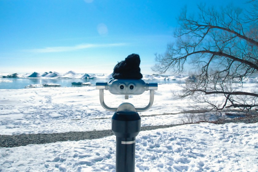 PRESQUILE AND SIGNAL 2019 LR Exported-17_1545