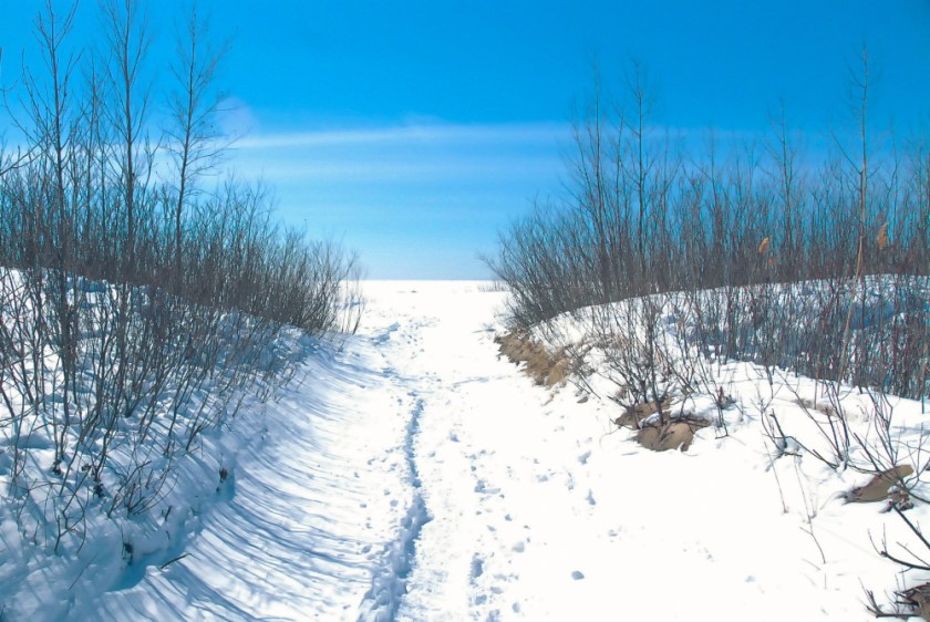 PRESQUILE AND SIGNAL 2019 LR Exported-24_1547