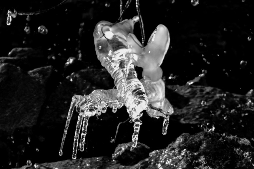 LR Exported-1-3_1588