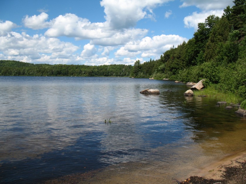 Algonquin 07 Canon012