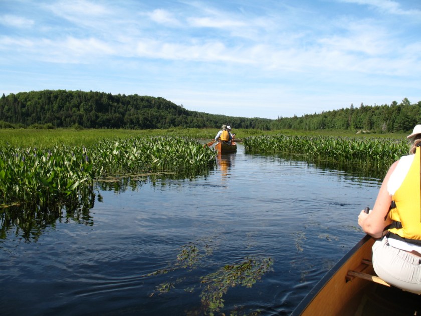 Algonquin 07 Canon017