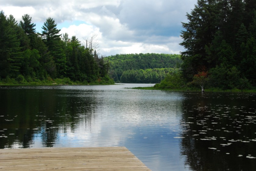 Algonquin July 07 0302