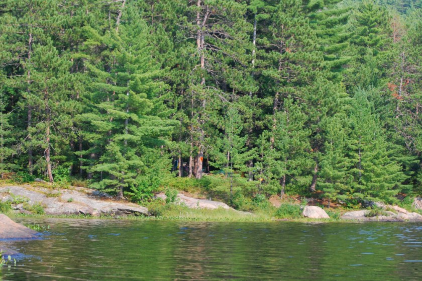 Alq canoe 08_15_2009 01