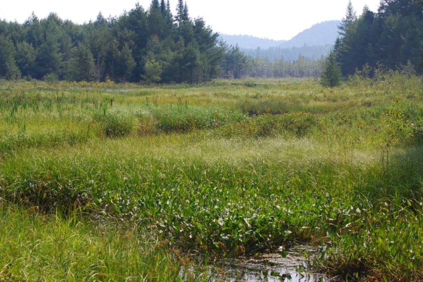 Alq canoe 08_16_2009 29