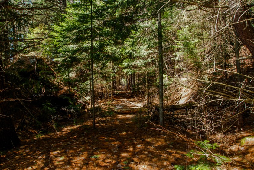 Trail - Old Railroad Line
