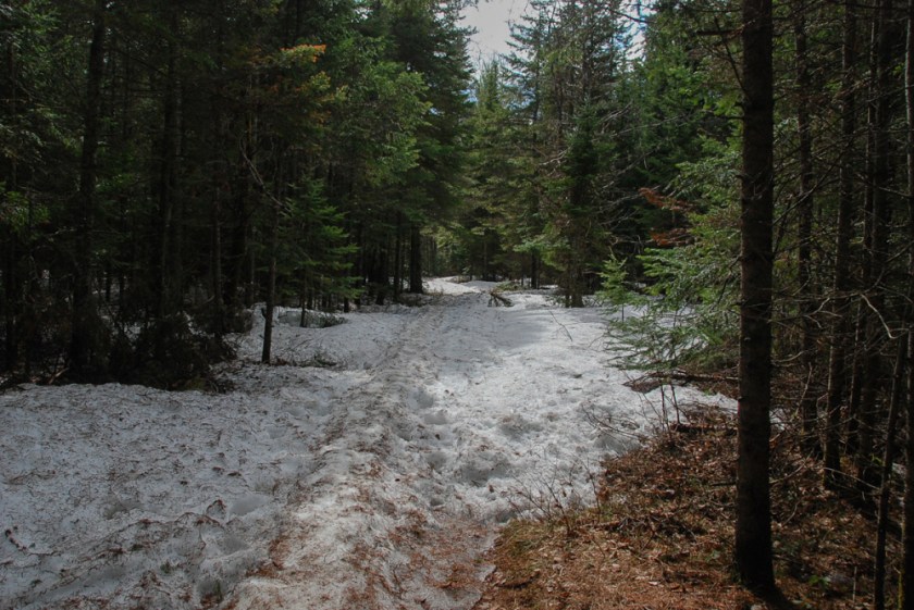 Trail to the Cascades