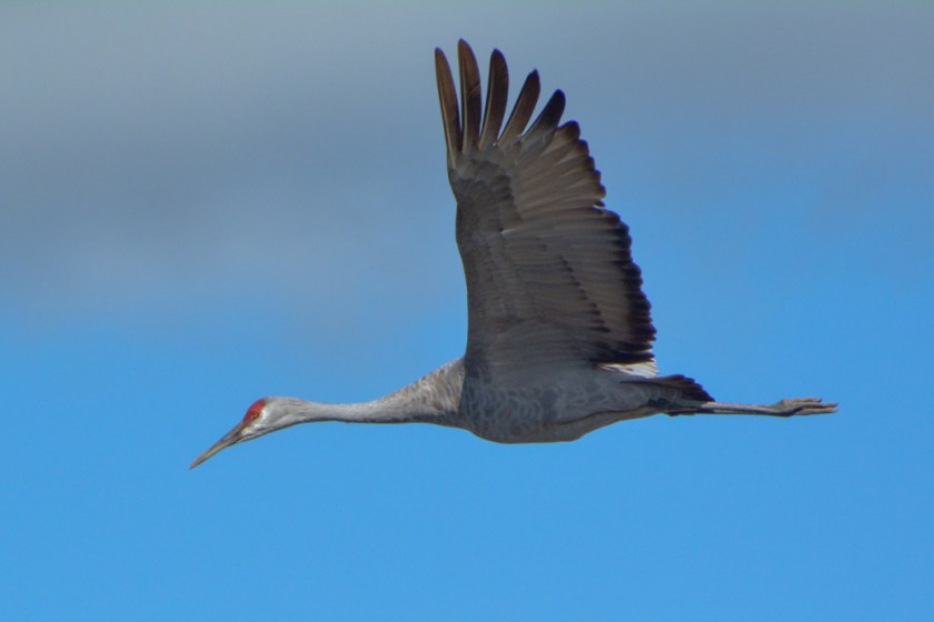 LR Exported AB to Home-31_01