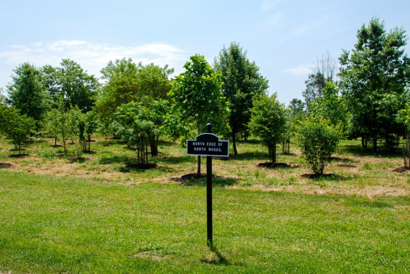 LR Exported Gettysburg PA-73