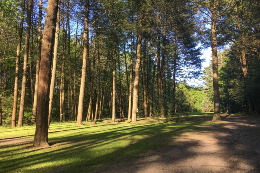 LR Exported Hobbie PA-1