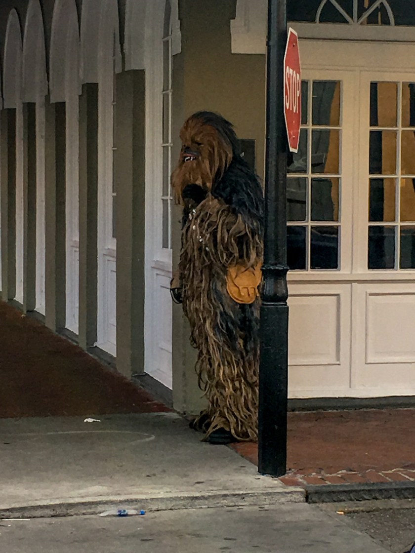 LR Exported New Orleans Louisiana-127_01