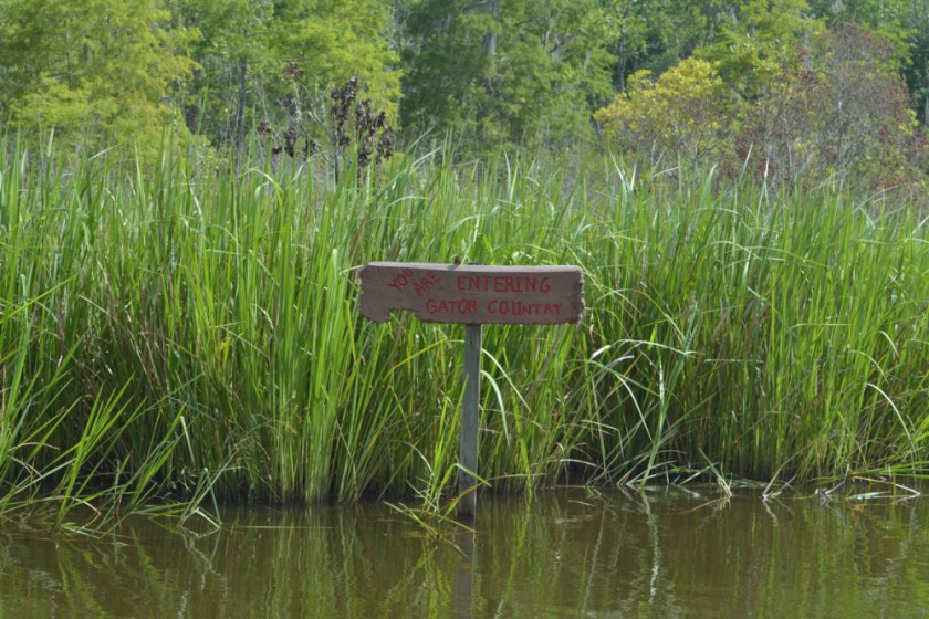 LR Exported New Orleans Louisiana-62_01