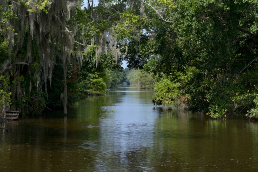 LR Exported New Orleans Louisiana-69_01