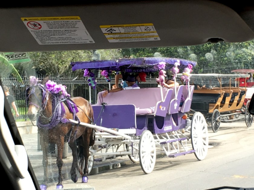 LR Exported New Orleans Louisiana-86_01