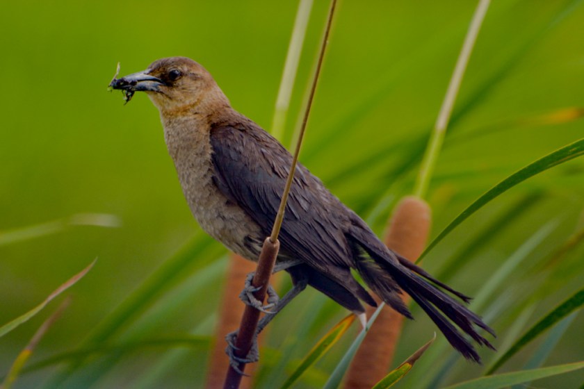 LR Exported Savannah Georgia-137