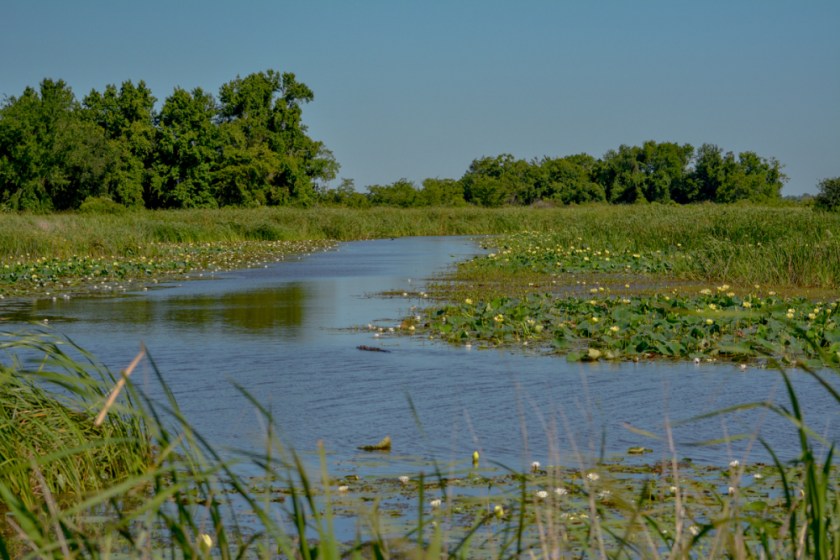 LR Exported Savannah Georgia-82