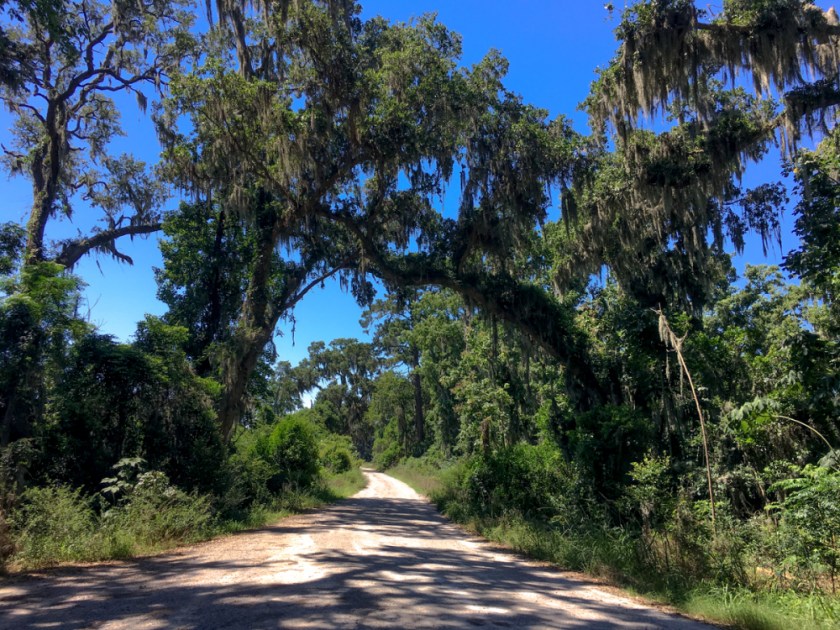 LR Exported Savannah Georgia-92