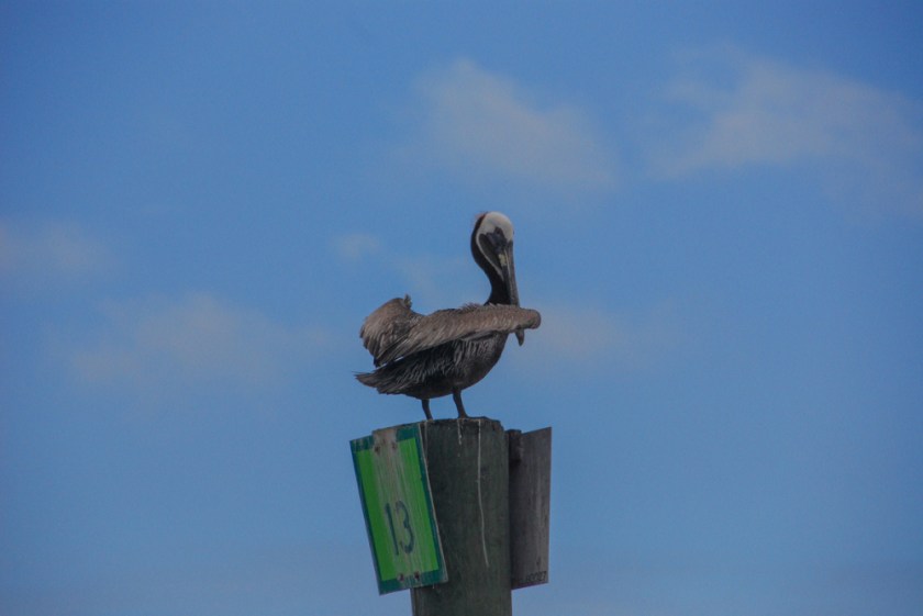 LR Exported St Augustine FL-109