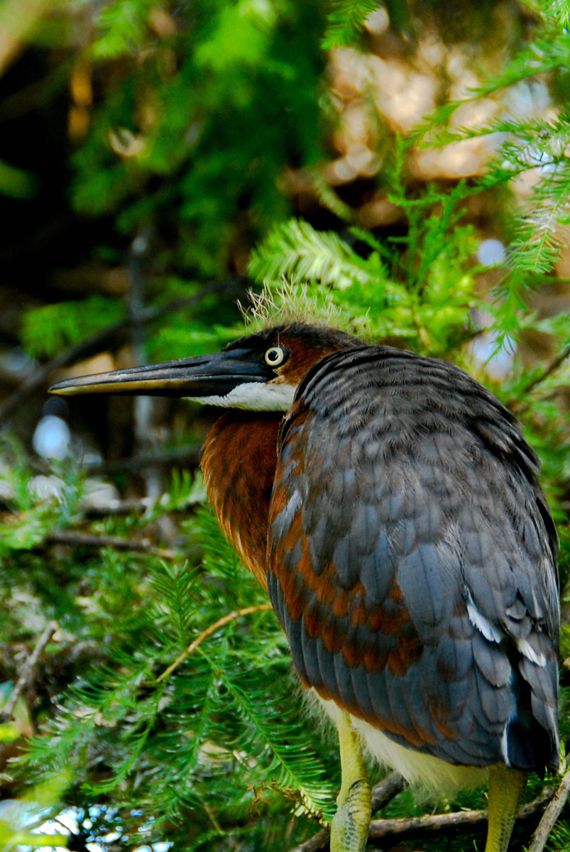 LR Exported St Augustine FL-36