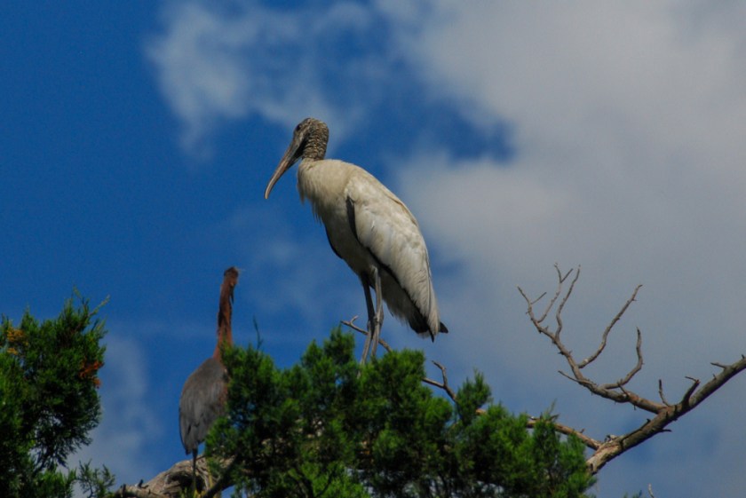 LR Exported St Augustine FL-39