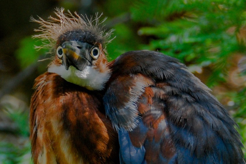 LR Exported St Augustine FL-44