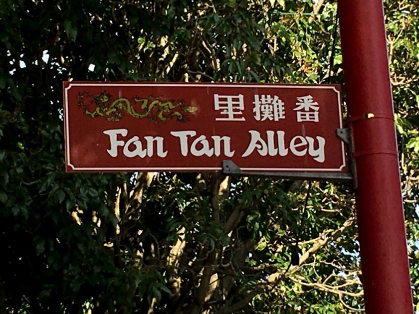 LR Exported Victoria BC 2019-140