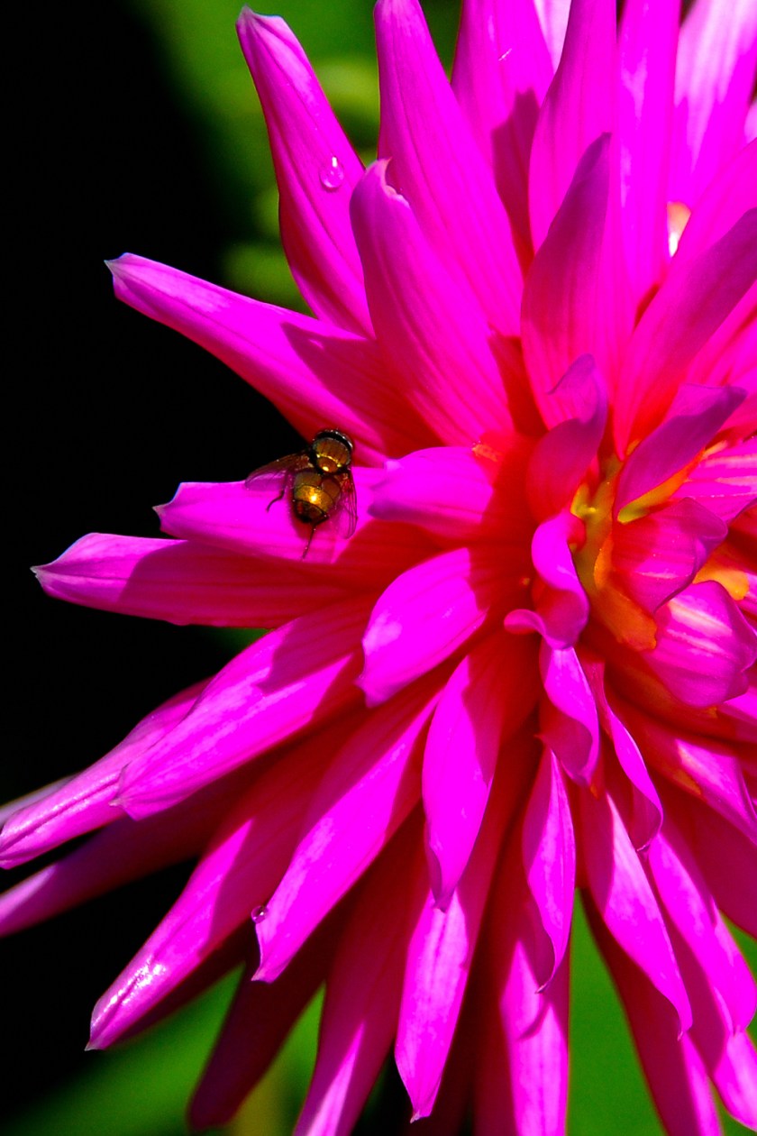 LR Exported Victoria BC 2019-35